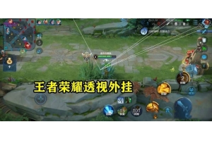 王者荣耀国际服透视发卡网-王者荣耀国际服