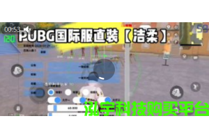 💥2.15 PUBG直装大揭秘！高光绘制+物资雷达+自瞄神器，稳定连打超神操作😎